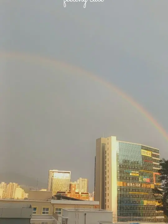 Ella_081126의 설윤아