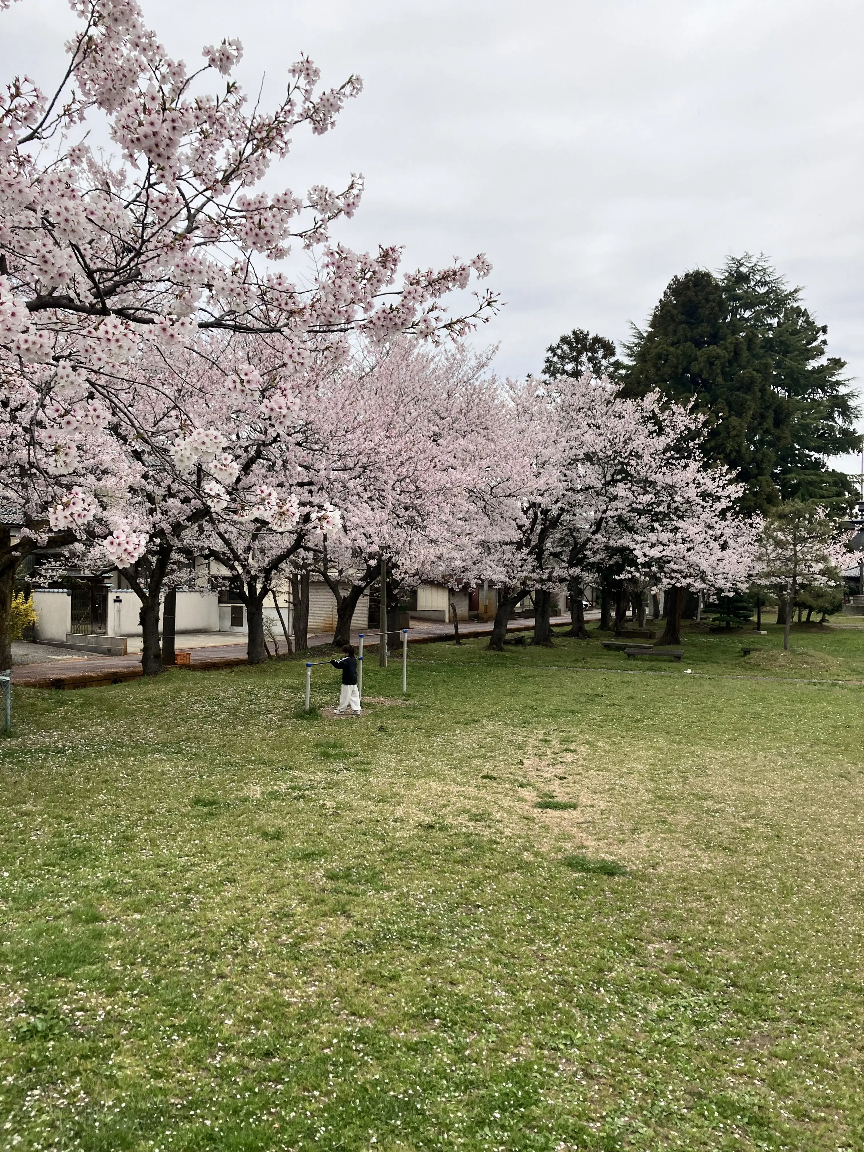 QuietShoes3638의 정반대