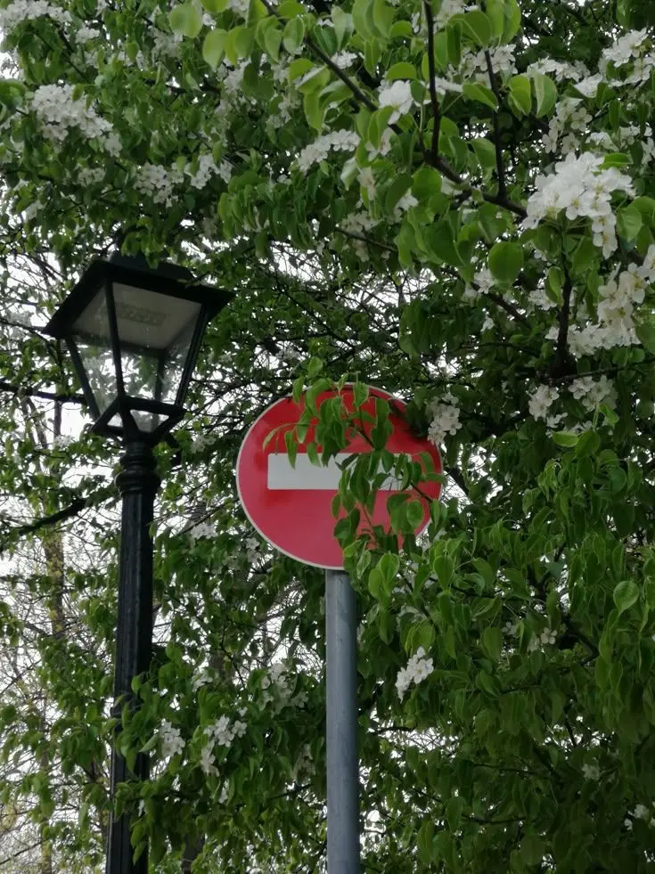 sIeep_SLEEP의 이빨조