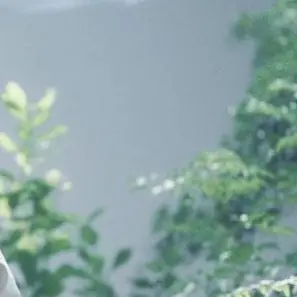 MGA._.JAMS의 フロリジナル____ひとりじゃない。