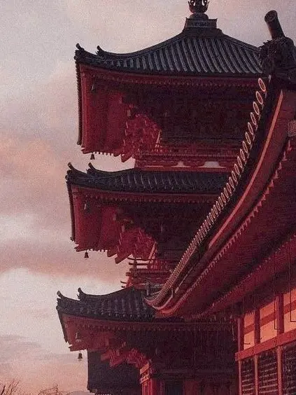 Eliteshn81의 플래그