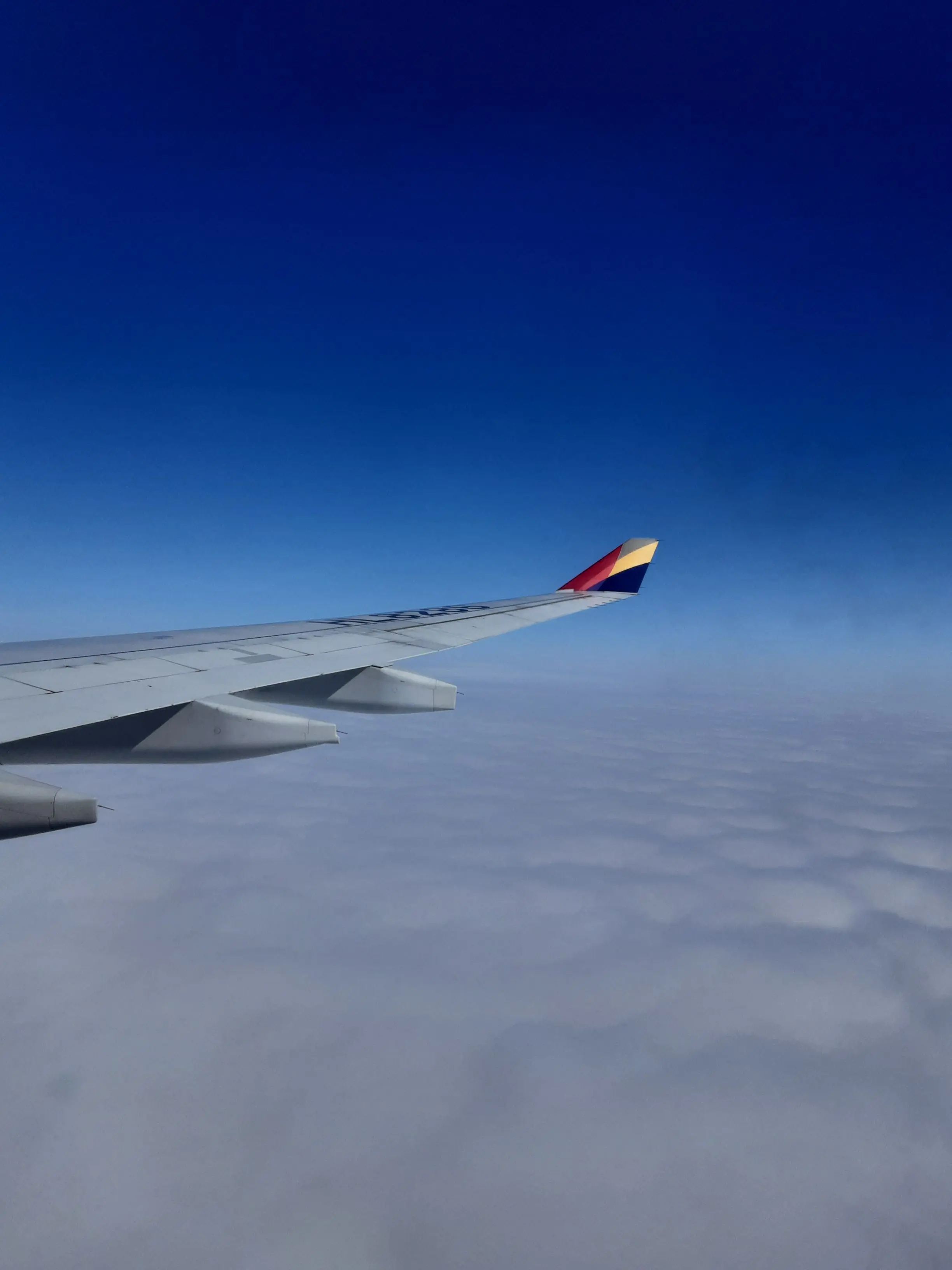 YeastyPilot8353의 갠용