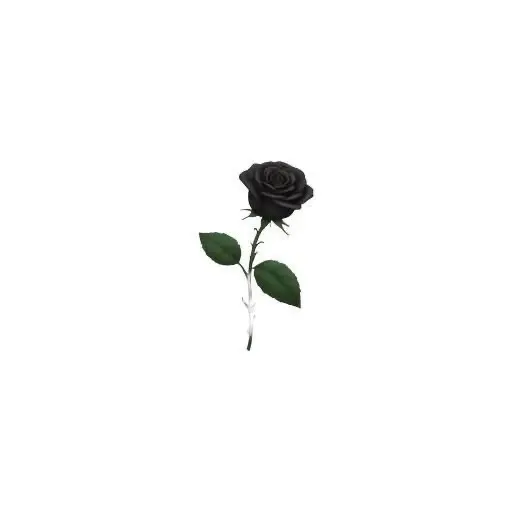 __xxwon의 이상원