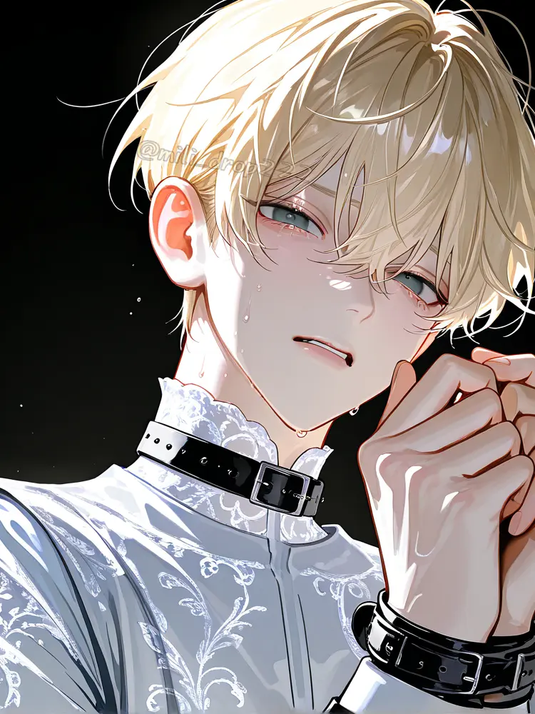 milk_drop222의 元・敵国の王子様