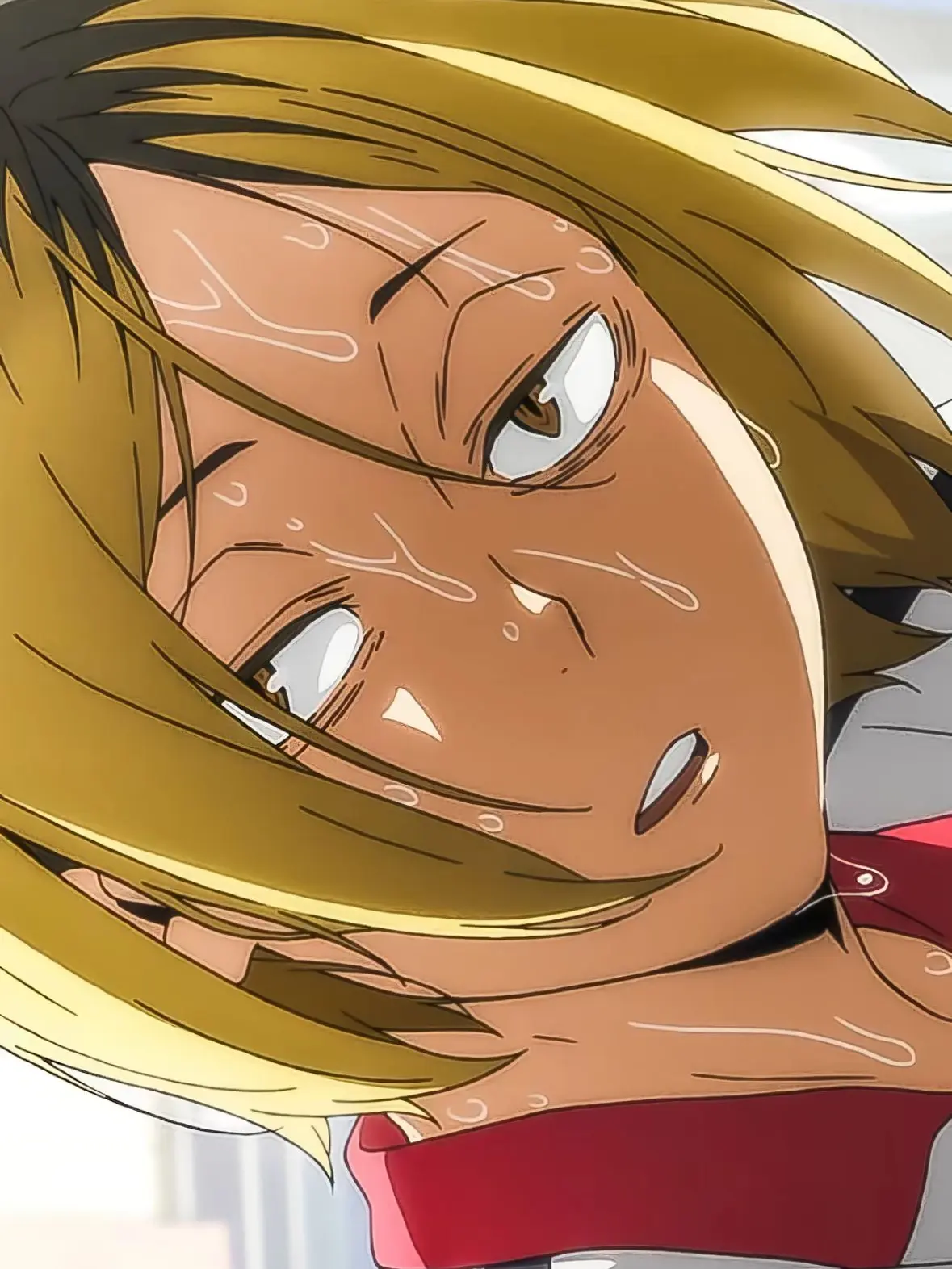 tintin19198104545의 研磨と夫婦