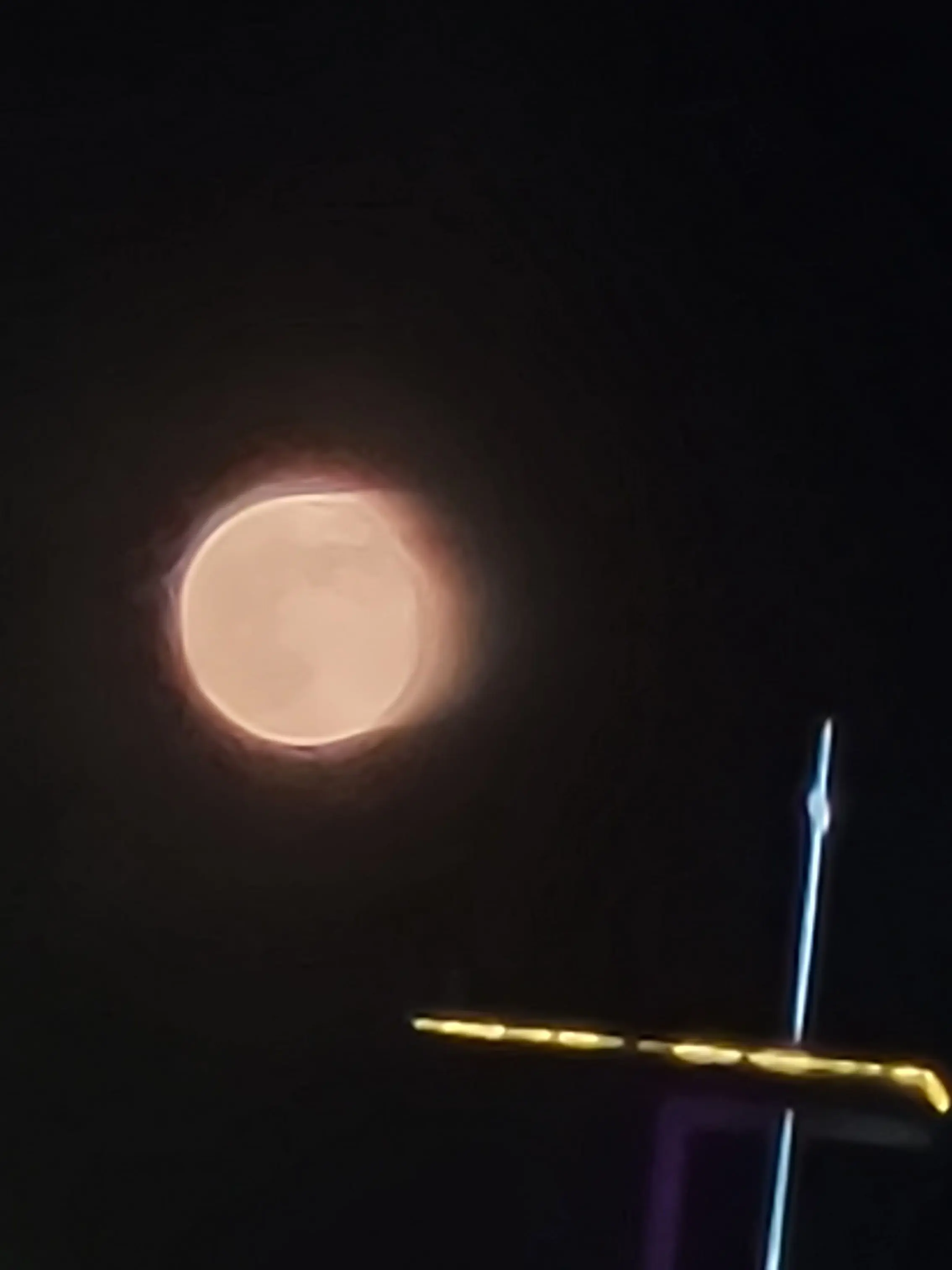 GrimAinu1816의 브라질리언 하러온 남자들.. 존잘..