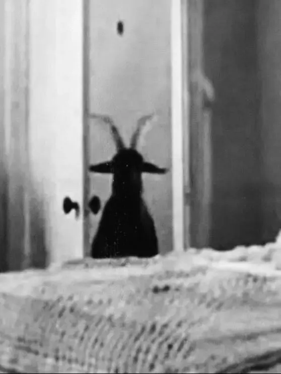 When_angels_deserve_to_die의 𝘿𝙖𝙣𝙞𝙚𝙡