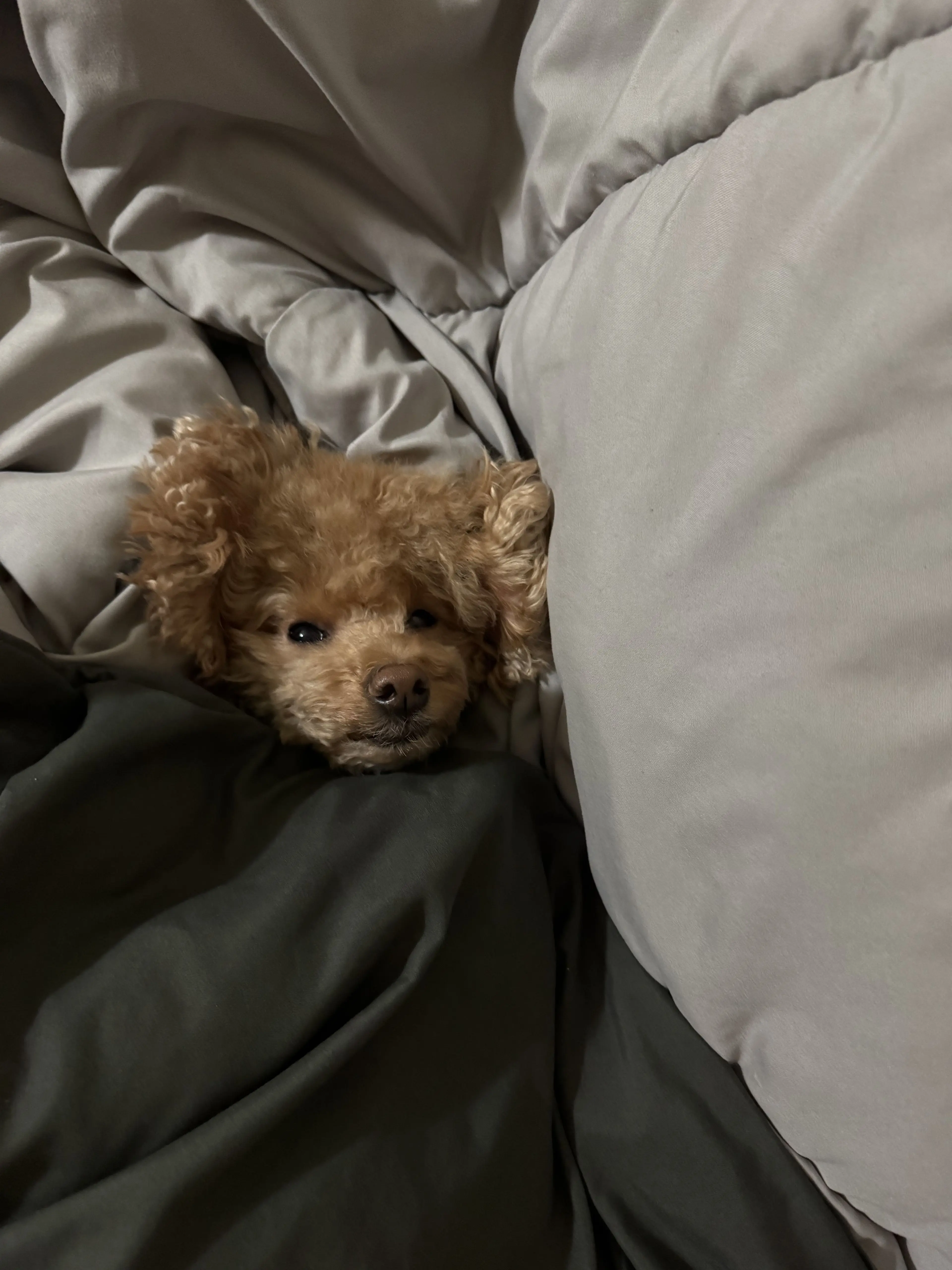 RECORD404의 와 일본!!!