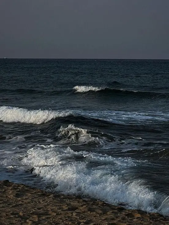 KeenGrebe9858의 ㅤㅤ