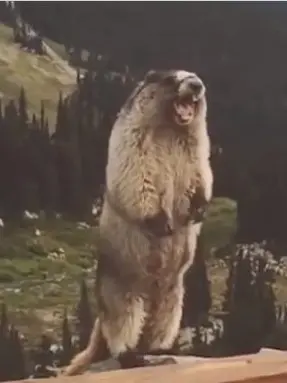 KindToken1693의 " 나 사춘기라고! 건들지 마! "