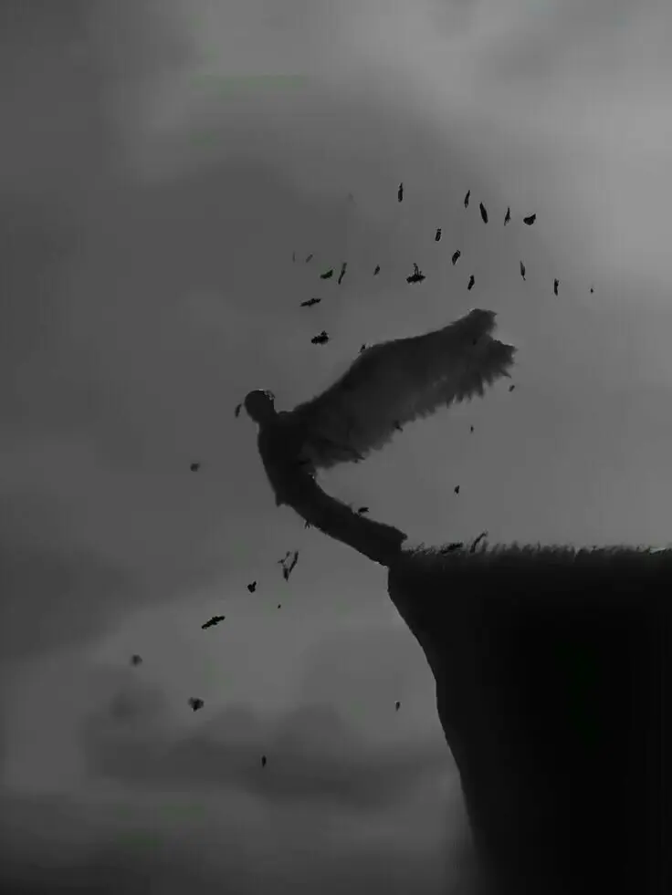 vofje_08kd.ltm의 패러다이스