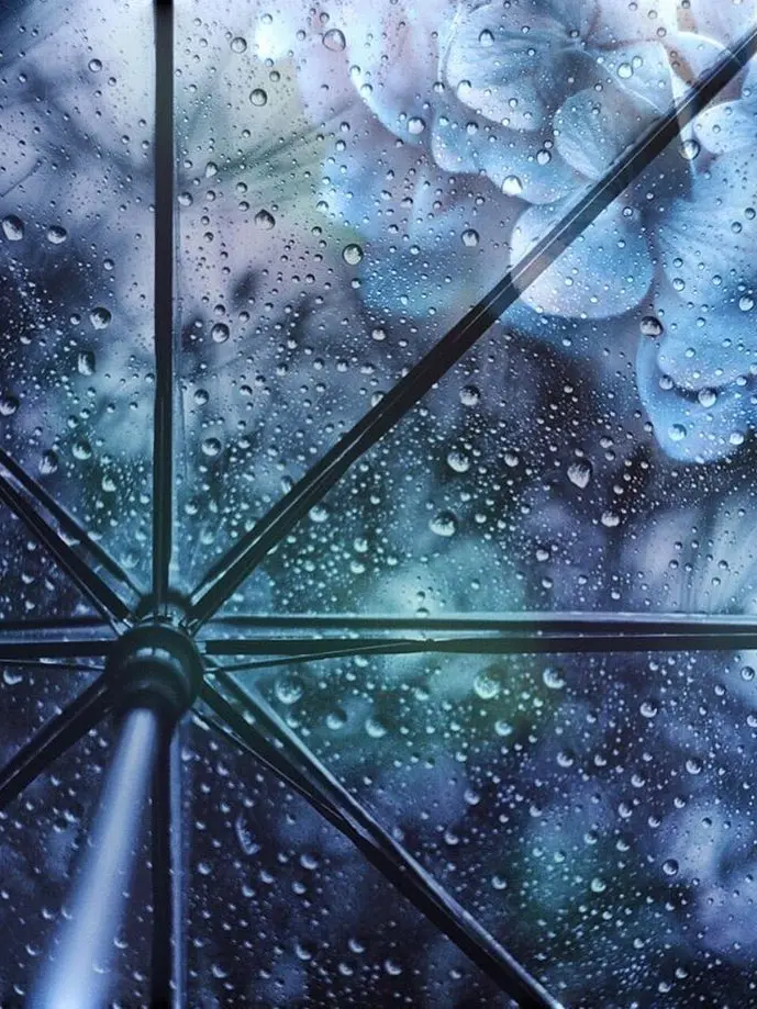 yorugatasugitekomaru의 雨に打たれた君は。