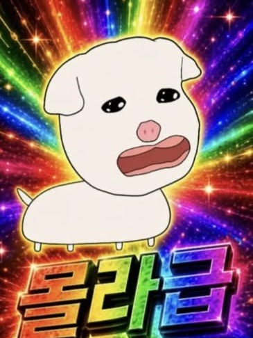 몰라 대표 이미지