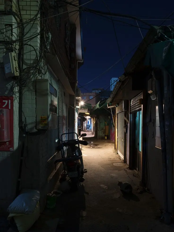 DenseWhisk0887의 김재헌