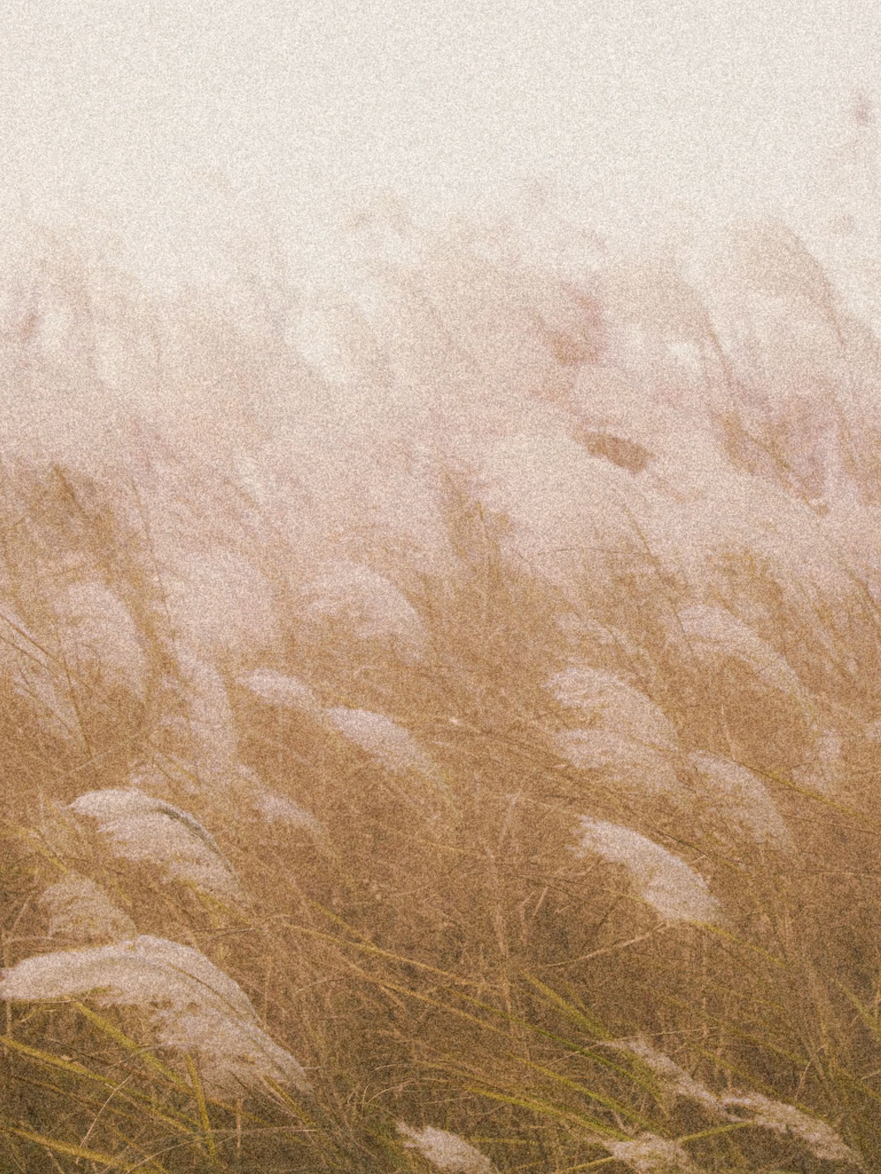 JerkyBee8710의 東方悲劇手錄曲