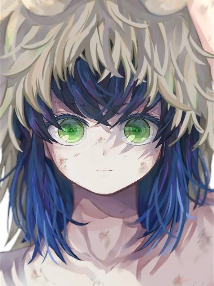 MINSEO100의 하시비라 이노스케