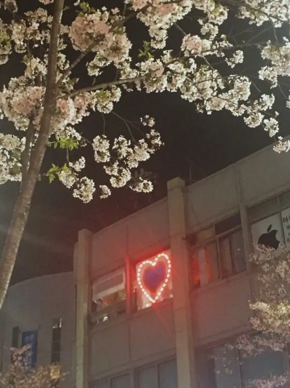 Best_salada의 진심 키스