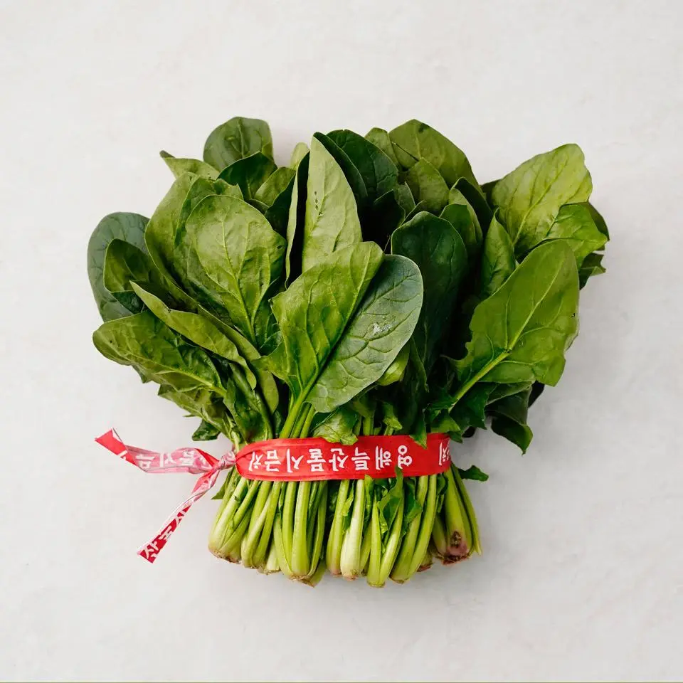 saltwithvegetable의 당신의 말을 들어주는