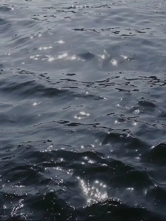 UntidyMind0580의 봄이 오거든, 그곳으로 가자.