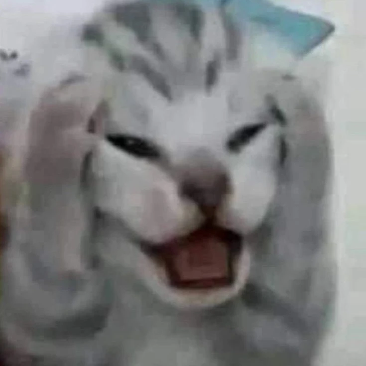 사랑을 나누는 섬