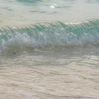 hyeni7046의 청춘의 우리는