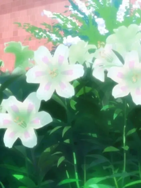 CostlySlice4565의 個人用(使用禁止)