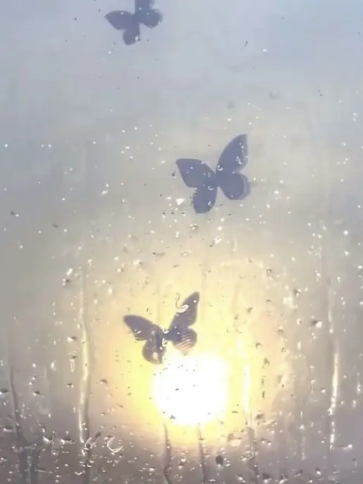 kaibutu4의 芸術家 ~標本~