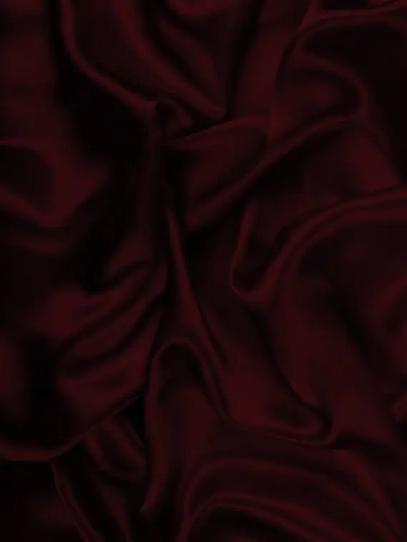 LinearPlush1991의 마피아 가문 어쩌구