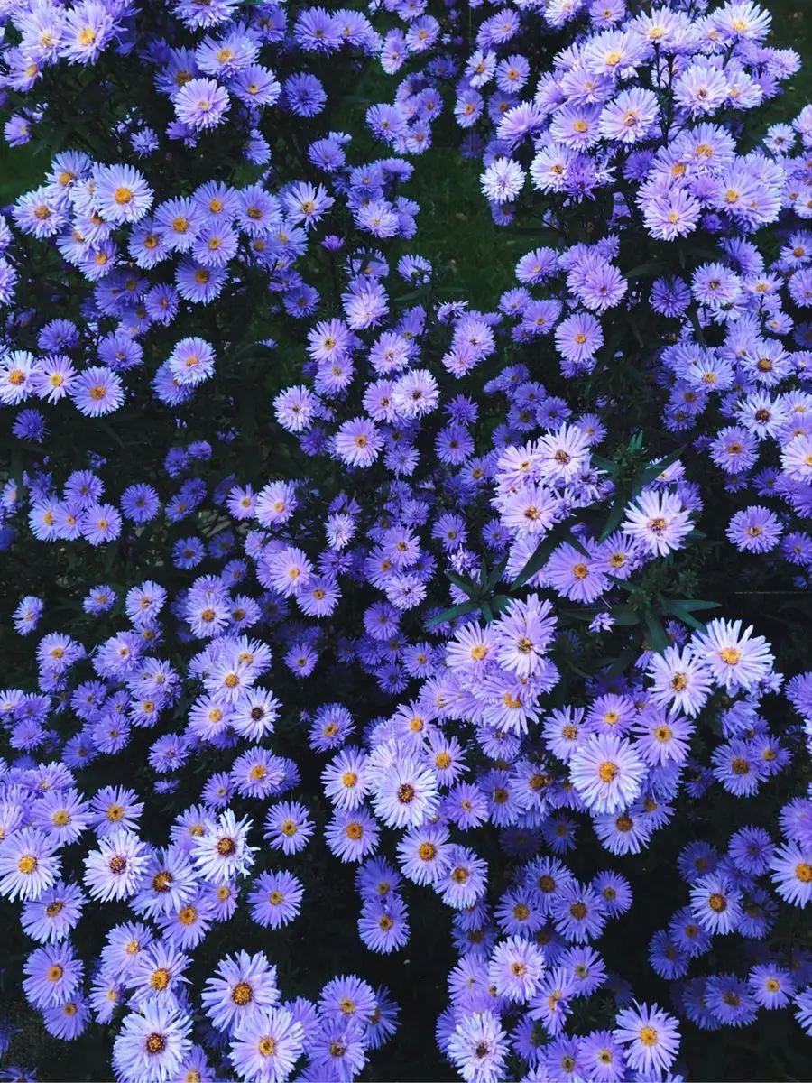 _k0lqn의 深澤辰哉