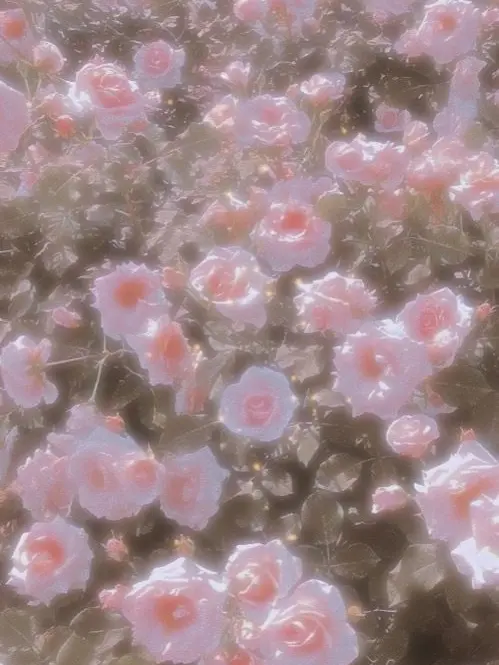 frappe의 可愛い君　を　独り占め　。