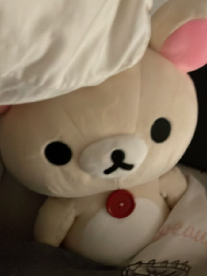 서한솔 대표 이미지