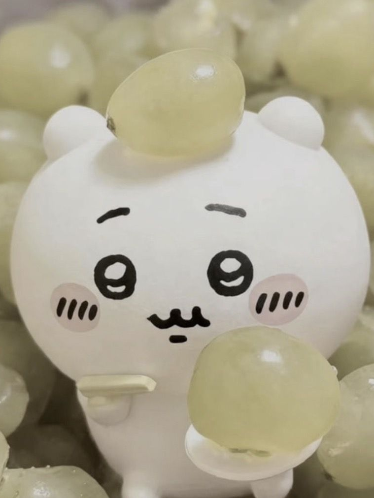 1214 대표 이미지