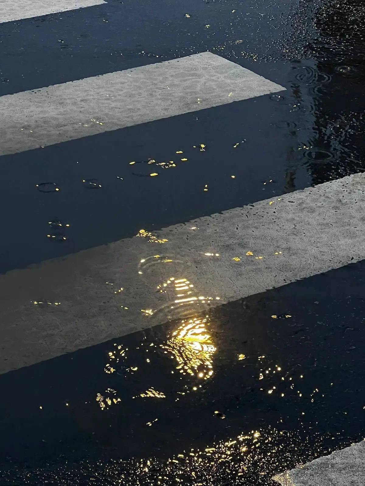kymhk_123의 雨 .