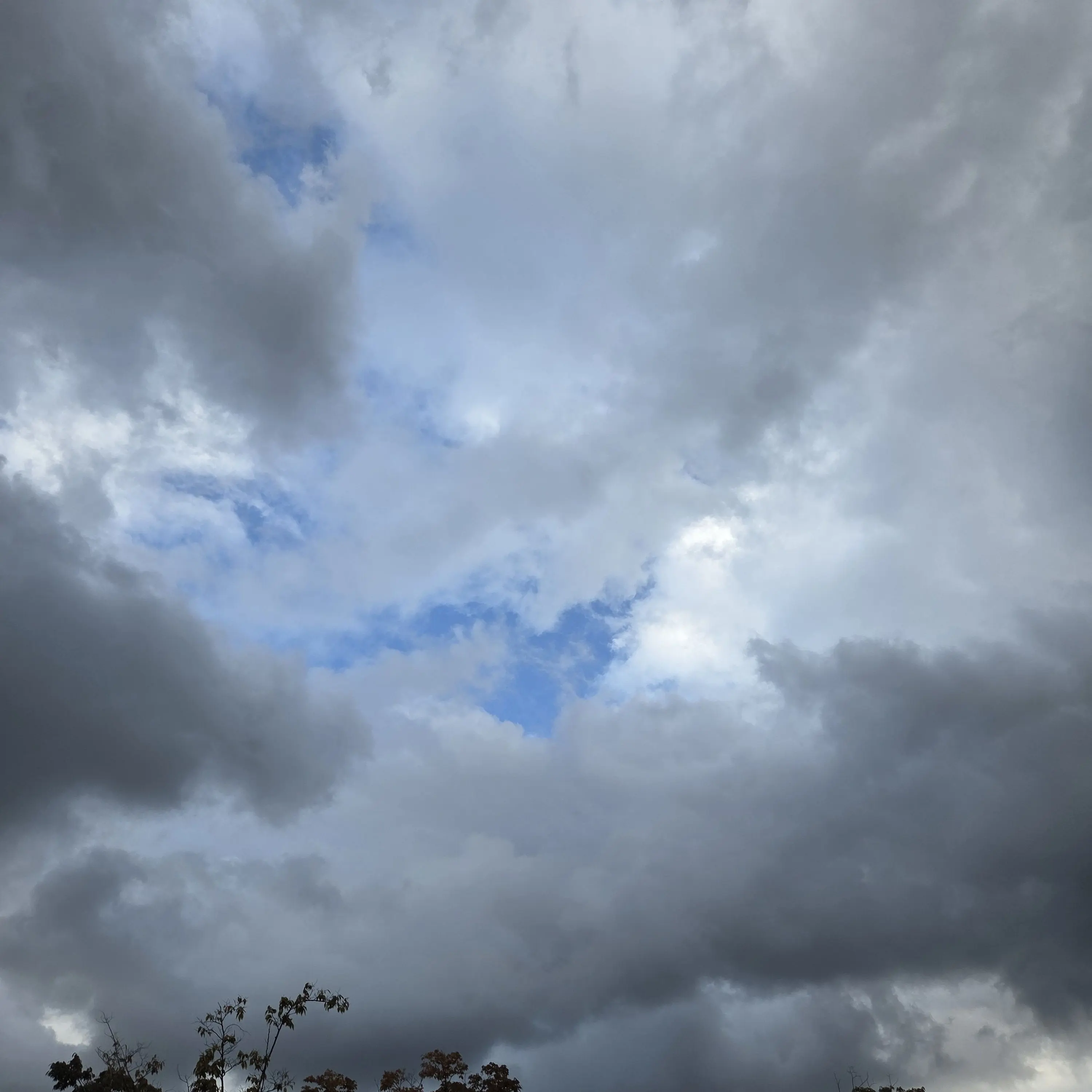 Xenop의 나혼자 만렙 뉴비