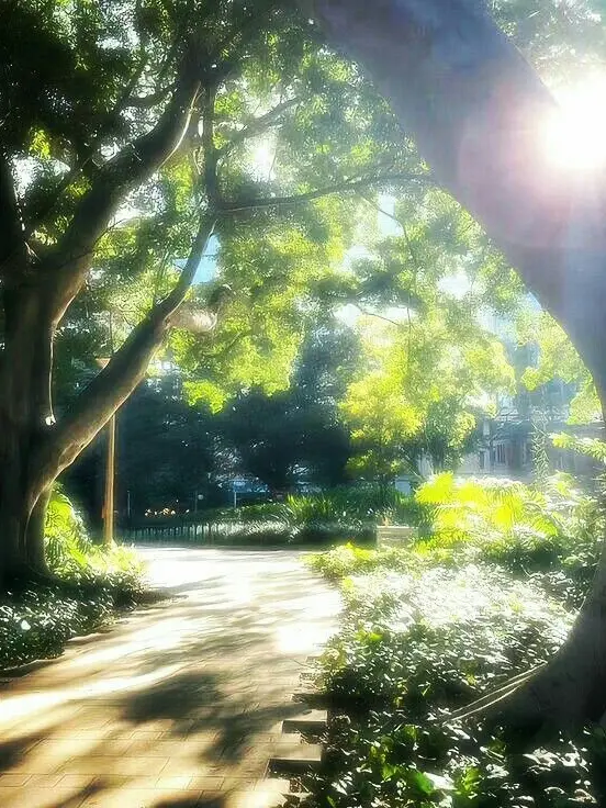Only_my_home의 Have you come seeking this Paradise?