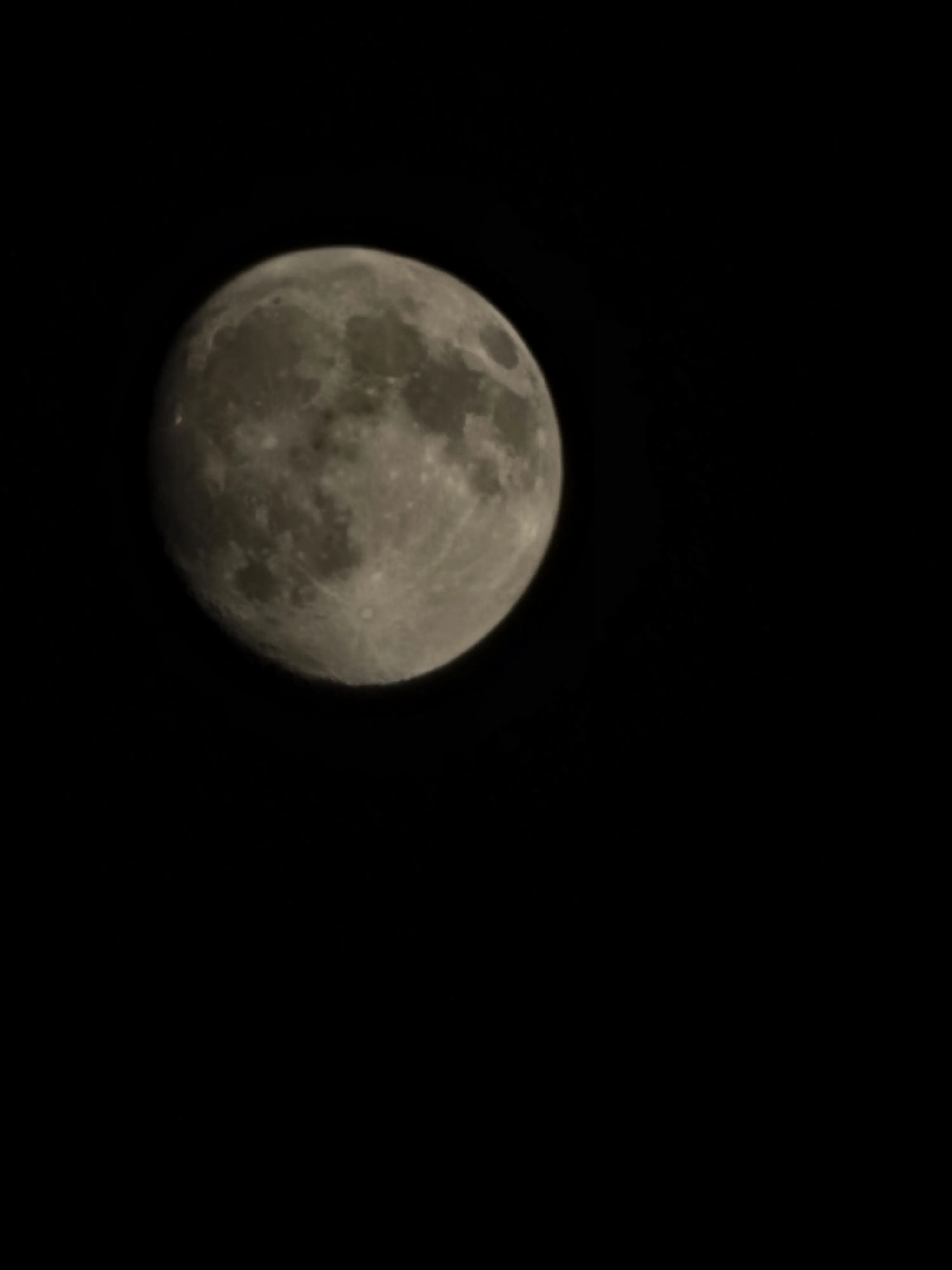 Blue-hour의 호텔 셰이드