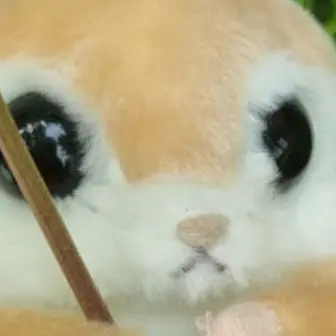 Monster9849의 애교 벌칙