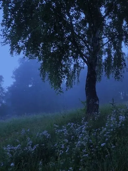 Romu_ch의 어쩌면 좋을까 너를.