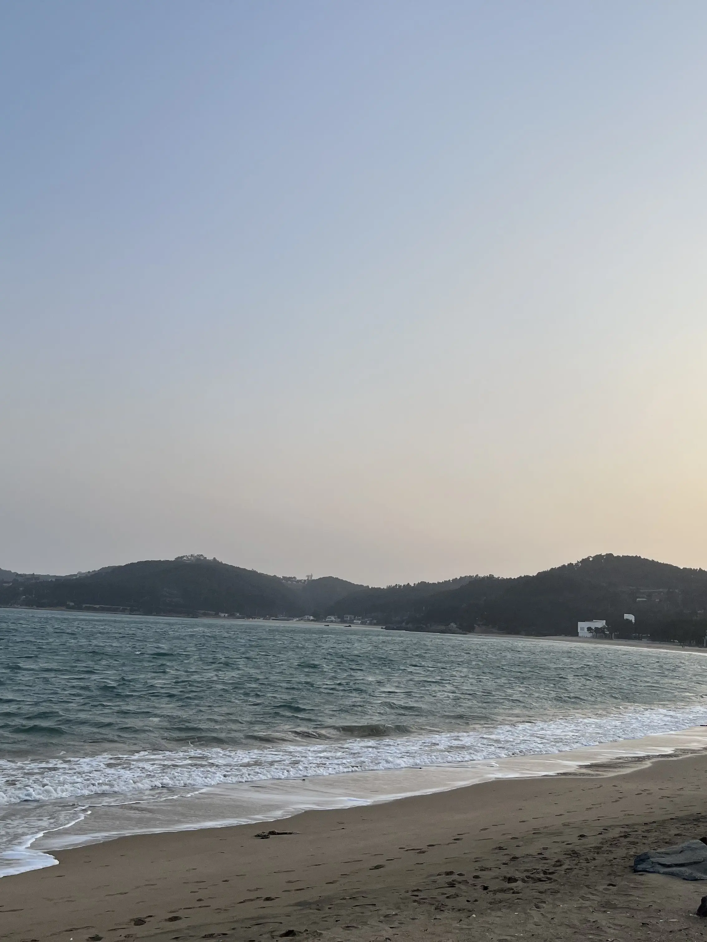 ANE497700의 리레(리온있음여)