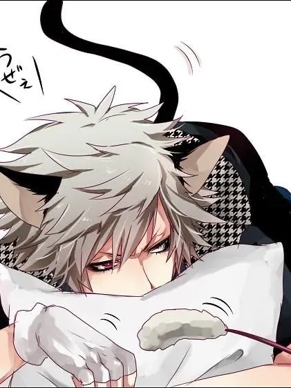 iloveboysloveormlm의 kitty husband! |BL/MLM|