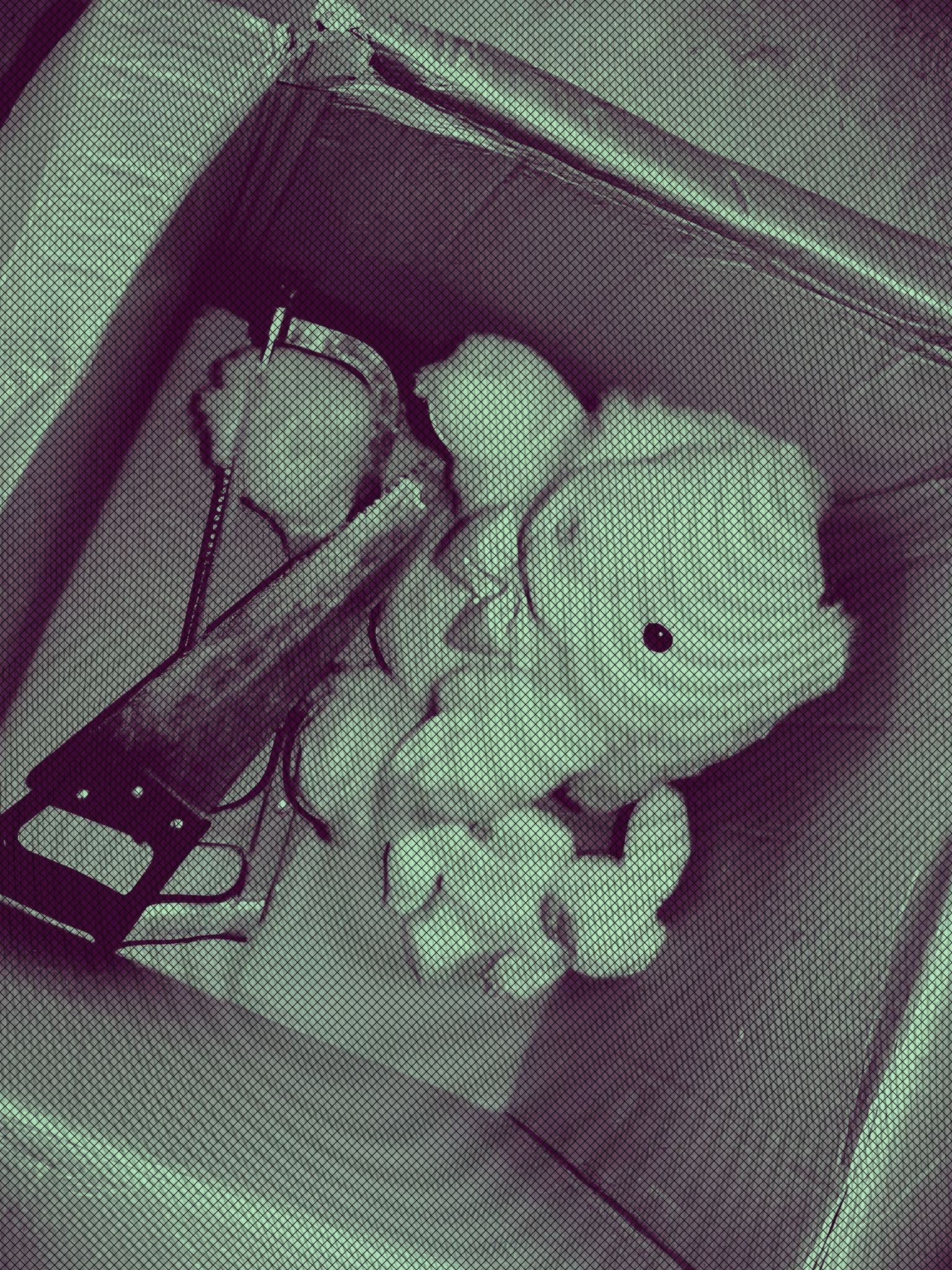 K 대표 이미지