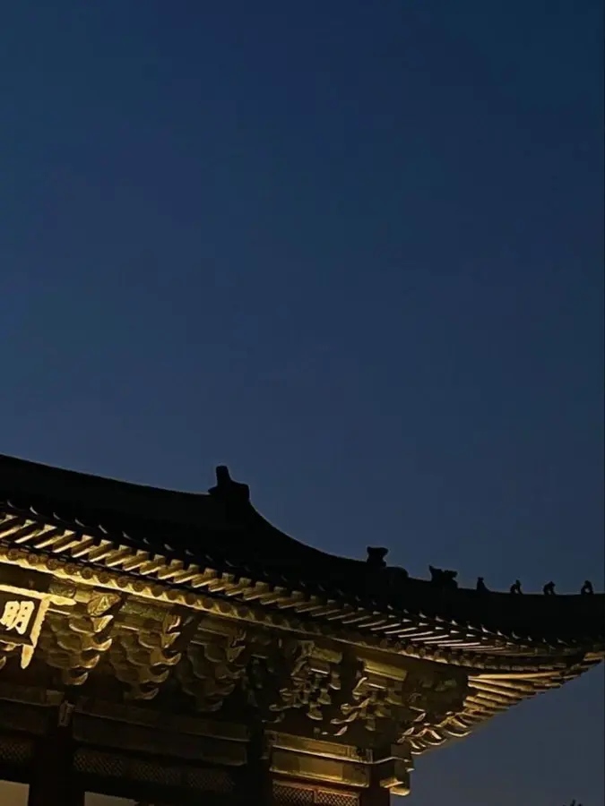 rhdiddl486의 비한