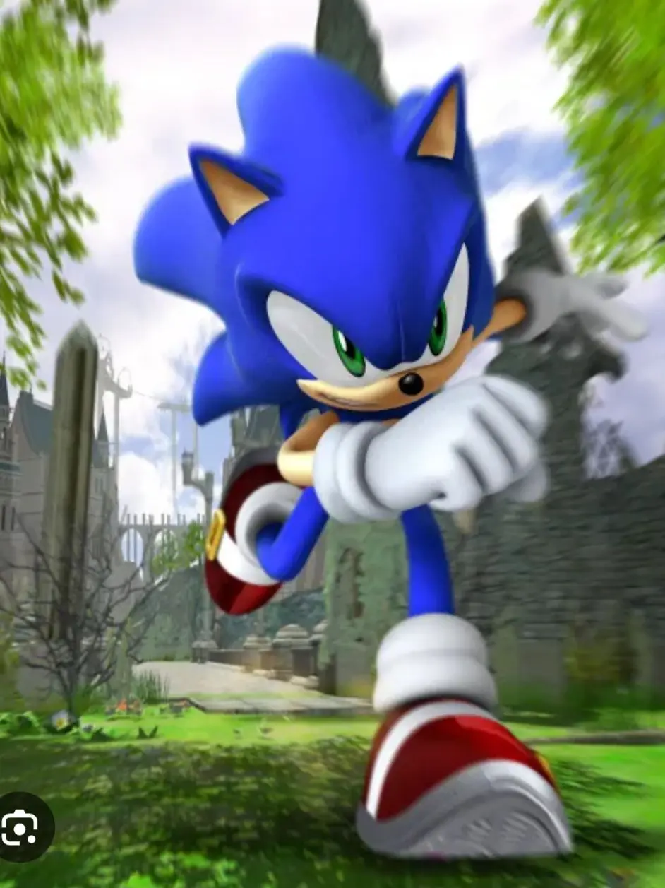 HumidLoss6530의 SONIC 06