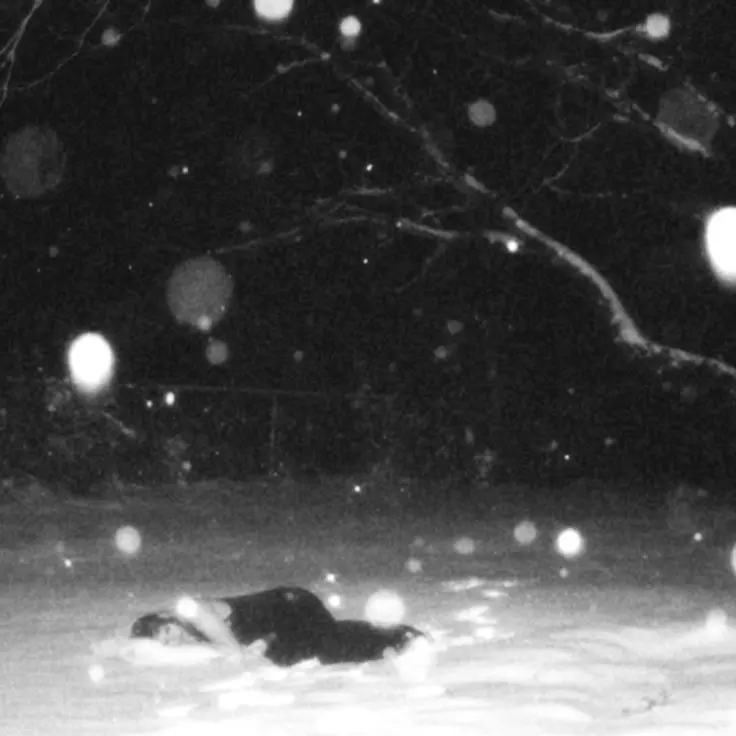 Thru_Pass_Artisan의 김민정