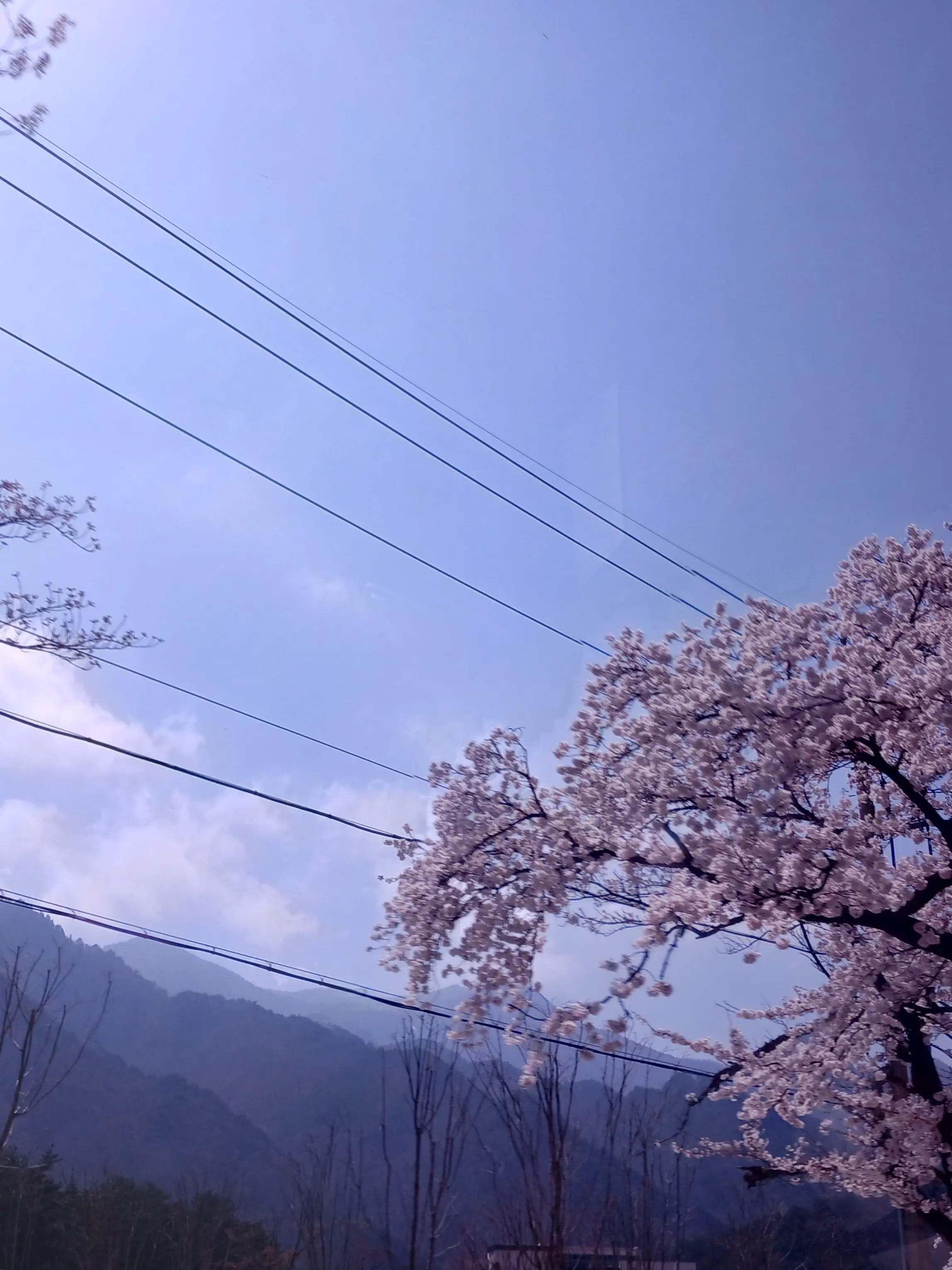 AON03의 오해를 하게 하지 말아야지 이 찐따야