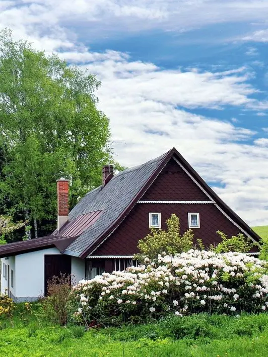 jk7의 🪶 리틀 S사