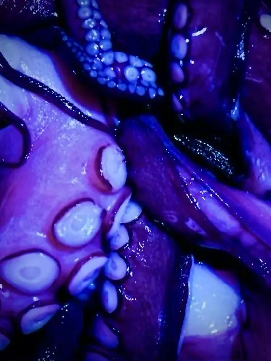 Melhatesyou의 Tentacle Spa