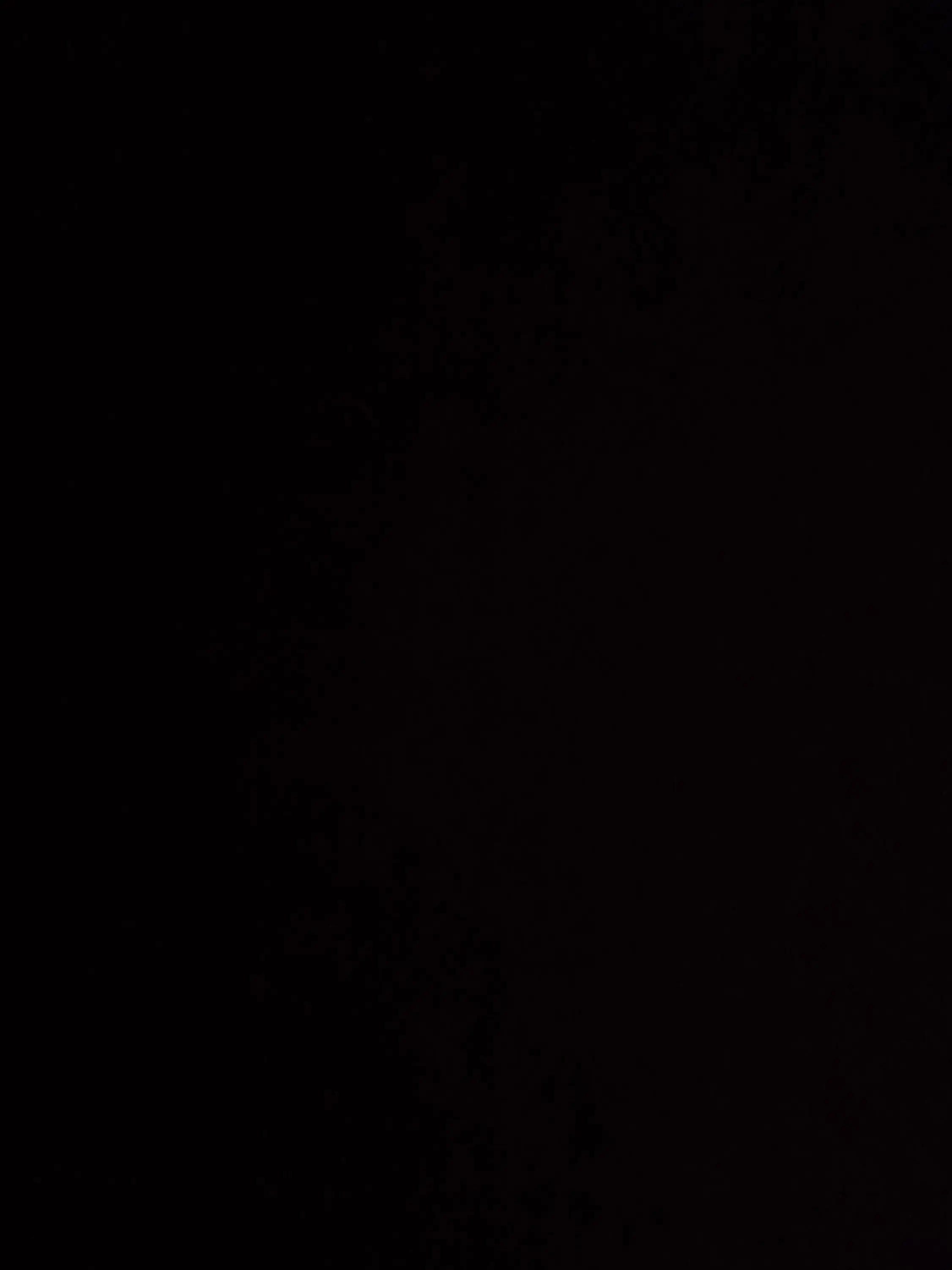 Summer_page의 김애리