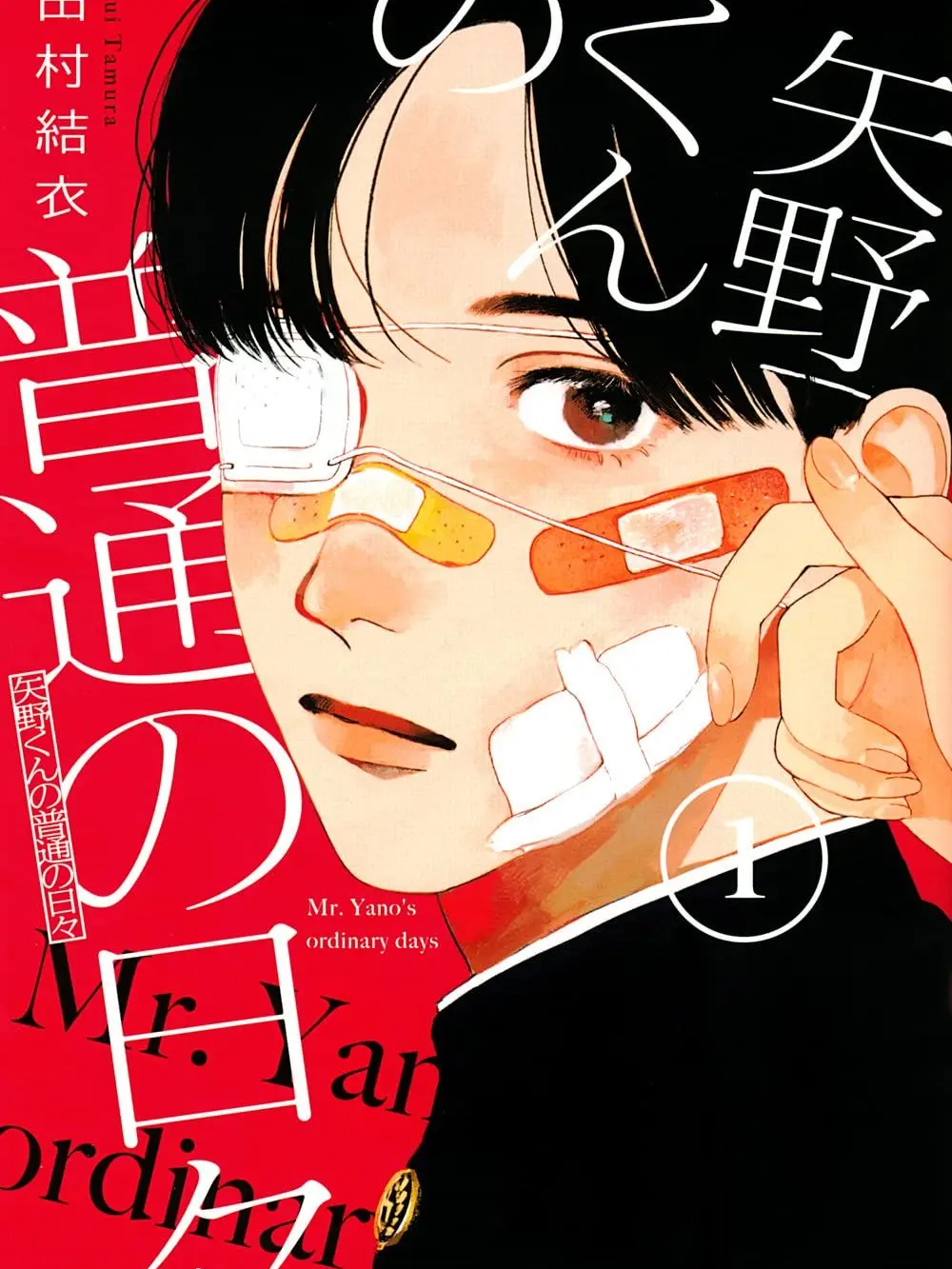 540224의 『矢野くんの普通の日々』