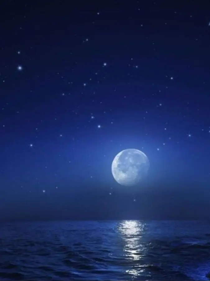 Miscellaneous_Miyu의 싫어 싫어